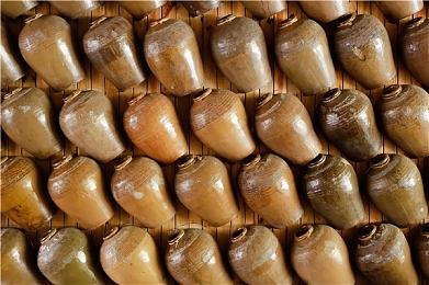 任天堂解释下架海豚模拟器 会危害开发并扼杀创新